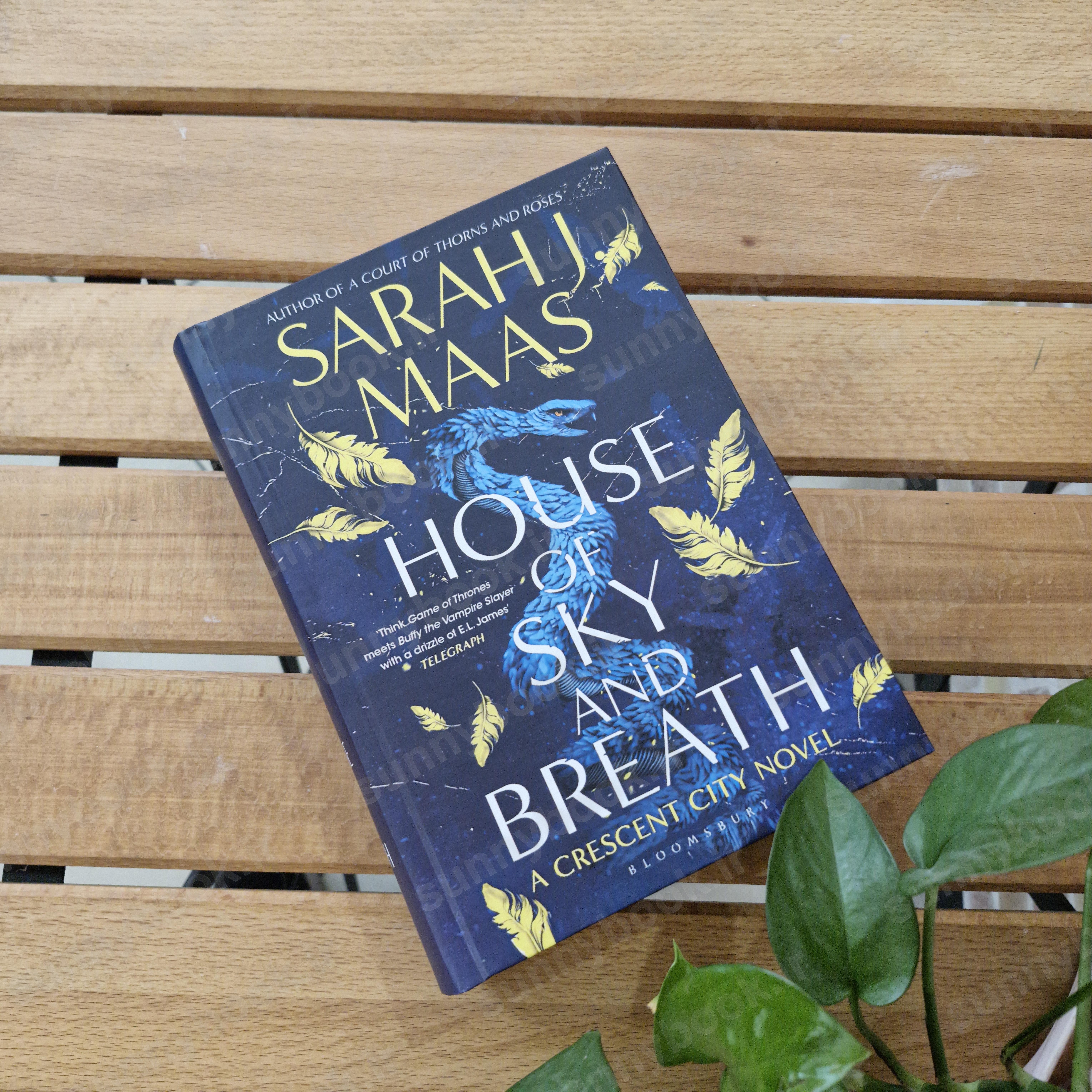 House of Sky and Breath (Crescent City 2) main 1 2