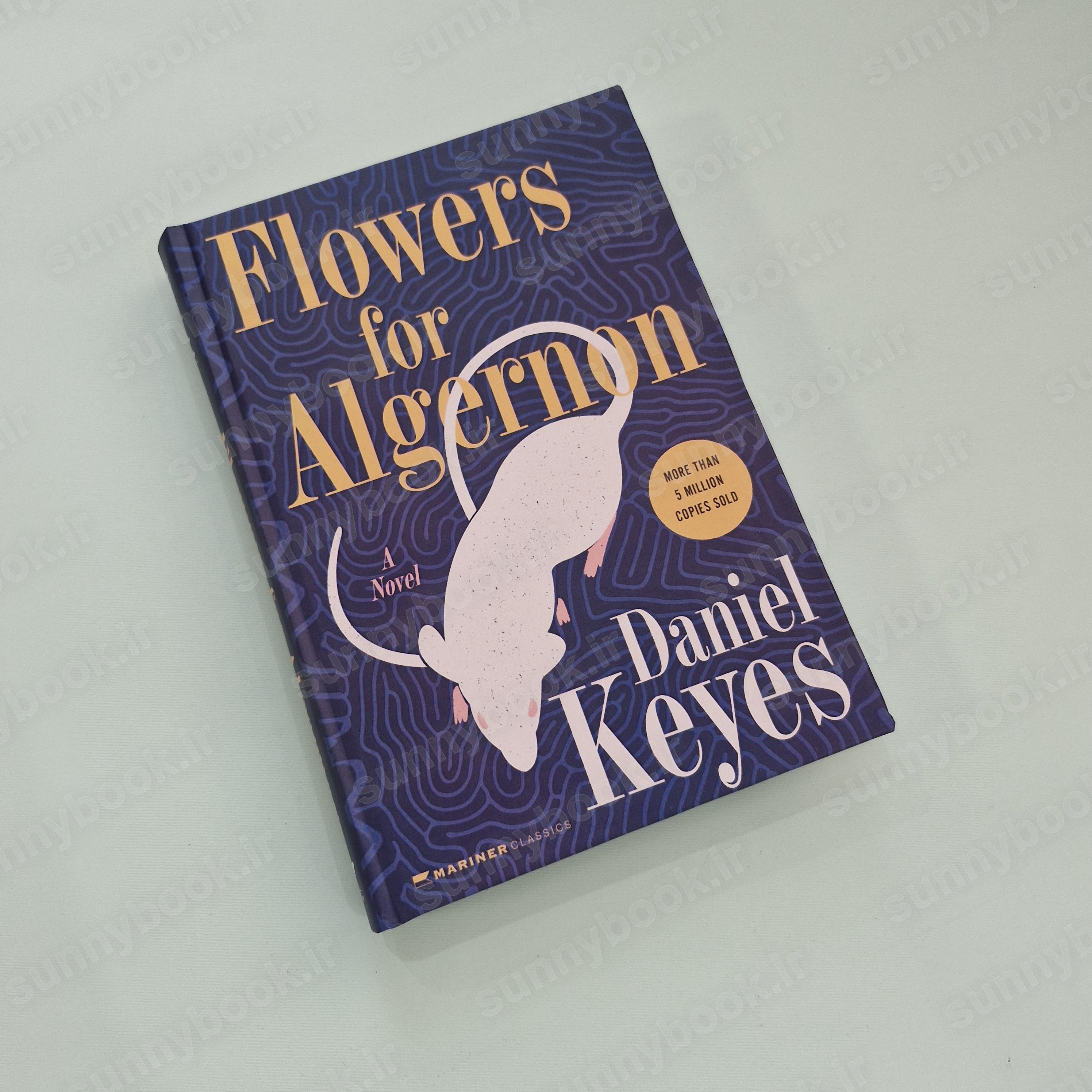 Flowers for Algernon main 1 2