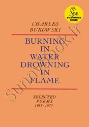 Burning in Water, Drowning in Flame thumb 2 1