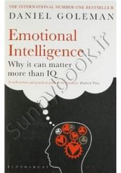 Emotional Intelligence: Why it Can Matter More Than IQ