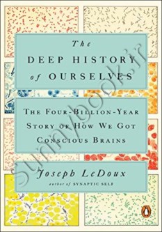 The Deep History of Ourselves