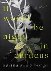 It Would Be Night in Caracas thumb 2 1