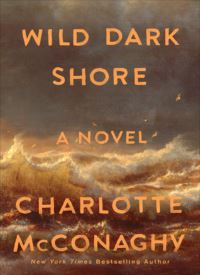 Wild Dark Shore thumb 2 1