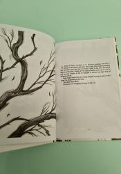 How the King of Elfhame Learned to Hate Stories (The Folk of the Air 3.5) thumb 2 6