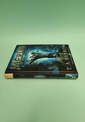 The Lost Years (Merlin Book 1) thumb 2 4