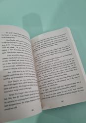 You've Got Mail: The Perils of Pigeon Post - Fei Ge Jiao You Xu Jin Shen (Novel) Vol. 2 thumb 1 7