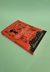 The Lost Twin (Scarlet and Ivy Book 1) thumb 2 3