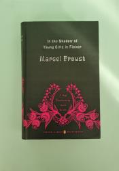 In the Shadow of Young Girls in Flower (In Search of Lost Time Vol 2) thumb 1 2