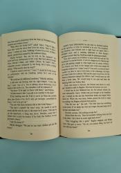Ruin and Rising (The Shadow and Bone Trilogy 3) thumb 1 6