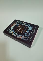 A Promise so Bold and Broken (Compelling Fates Saga 2) thumb 1 3