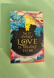 The Ballad of Never After (Once Upon a Broken Heart 2) thumb 2 4