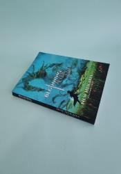 The Beginning After The End: New Heights, Book 2 thumb 2 3