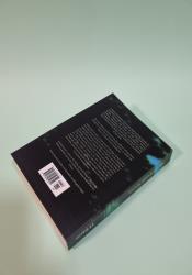 The Damning Stone (The Tales of Verania 5) thumb 2 5