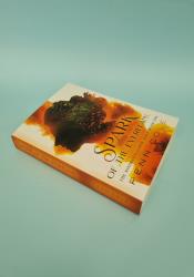 Spark of the Everflame: The Kindred's Curse Saga, Book One thumb 2 3