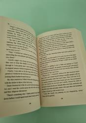 Broken Fae (Ruthless Boys of the Zodiac 4) thumb 2 5