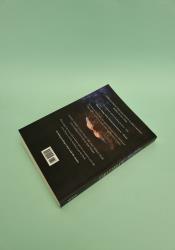 Angelfall (Penryn & the End of Days 1) thumb 1 6