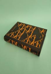 Metamorphoses Metamorphoses thumb 2 3