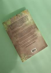 The Lies we Steal (The Hollow Boys Book 1) thumb 2 4