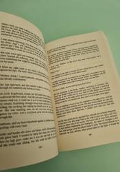 The Vampire Lestat (Vampire Chronicles 2) thumb 2 5