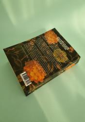 Bitter Burn (Lyonesse 3) thumb 1 5