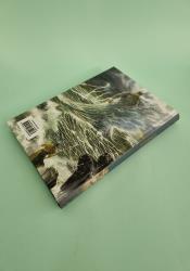 The Fall Of Gondolin thumb 2 5