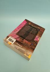 Stars of Chaos: Sha Po Lang (Novel) Vol. 5 thumb 2 4