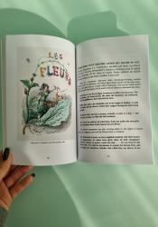 The Faerie Handbook: An Enchanting Compendium of Literature, Lore, Art, Recipes, and Projects thumb 2 4