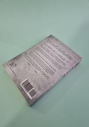 Iron & Fire (Silk and Steel 2) Iron & Fire (Silk and Steel 2) thumb 2 5