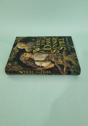 Where the Dark Stands Still thumb 2 4