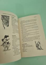 Cunningham's Encyclopedia of Magical Herbs (Llewellyn's Sourcebook Series) thumb 2 5