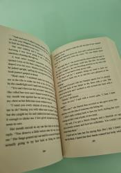 Savage Fae (Ruthless Boys of the Zodiac 2) thumb 1 5