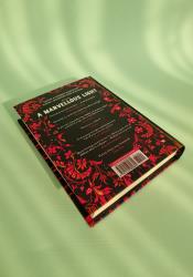 A Marvellous Light (The Last Binding 1) thumb 2 4
