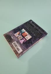 The Heir (The Selection 4) The Heir (The Selection 4) thumb 2 5