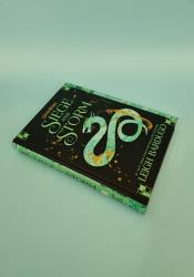 Siege and Storm (The Shadow and Bone 2) thumb 1 3
