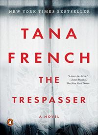 The Trespasser (Dublin Murder Squad 6)