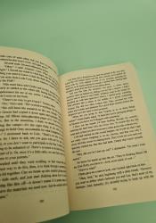 In the Afterlight (A Darkest Minds Book 3) thumb 1 5