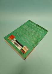 Persian Fire: The First World Empire and the Battle for the West (Romeinse Rijk-trilogie 2) thumb 2 4