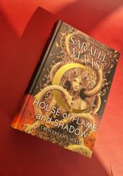 House of Flame and Shadow  (Crescent City #3) thumb 2 3