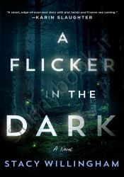 A Flicker in the Dark thumb 1 1