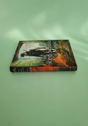 The Red Scrolls of Magic (The Eldest Curses 1) thumb 2 4