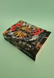 A Soul of Ash and Blood (Blood and Ash 5) thumb 1 3