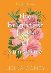 The Brightest Light of Sunshine