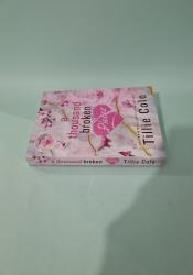 A Thousand Broken Pieces thumb 2 4