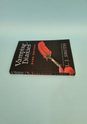 The Vampire Diaries: The Reunion: book 4 thumb 2 4