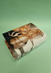 Kingdom of Ash (Throne of Glass, 7) thumb 1 4