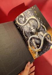 House of Flame and Shadow  (Crescent City #3) thumb 2 6