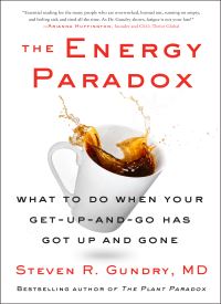 The Energy Paradox thumb 2 1