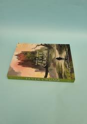 Fever Crumb (Book 1 of 3: Fever Crumb Trilogy) thumb 2 4