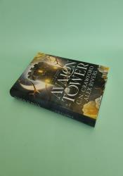 Avalon Tower (Fey Spy Academy Book 1) thumb 2 3