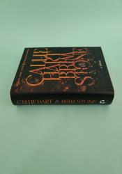 Brimstone (Fae and Alchemy 2) thumb 1 4